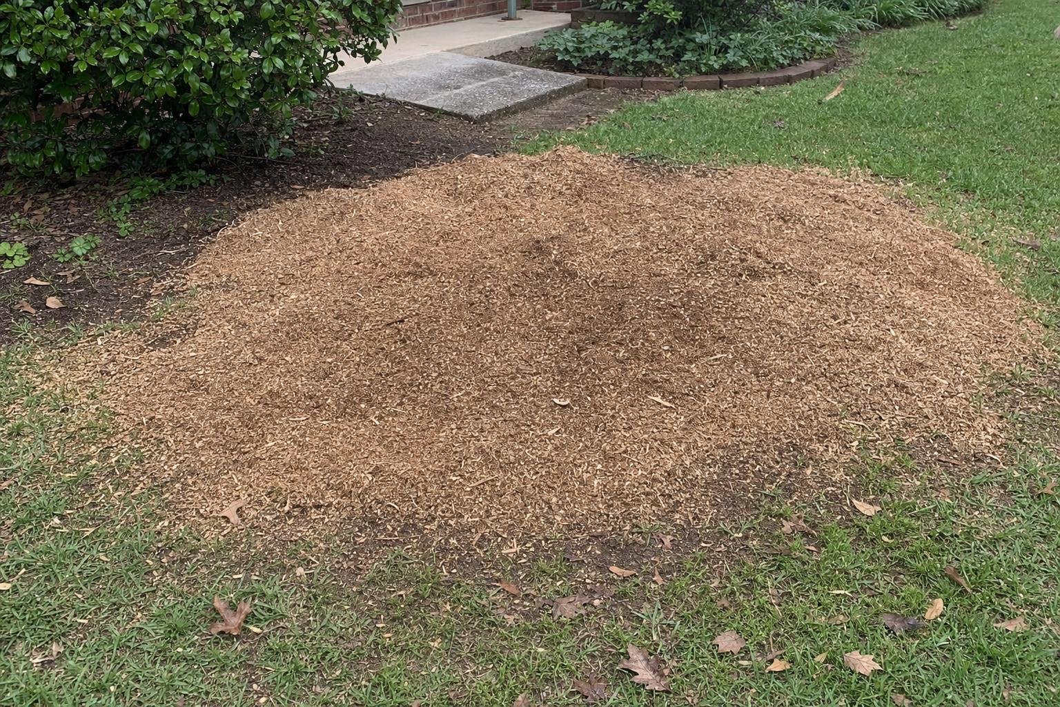 Stump Grinding in Augusta-Richmond County