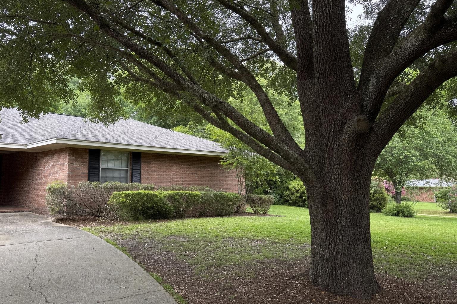 Tree trimming example